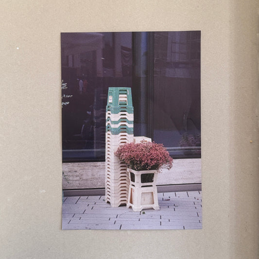 BLUMEN & KONZEPT DAHINTER - Poster DIN A1